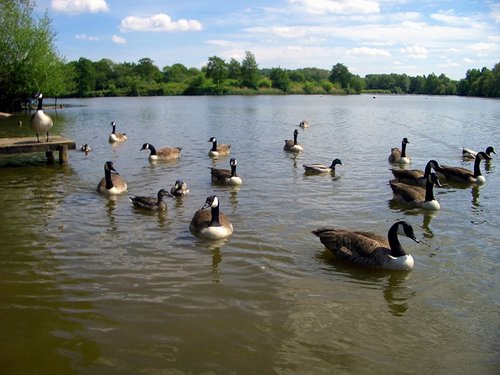 Arrow Valley Lake, Redditch, Worcestershire