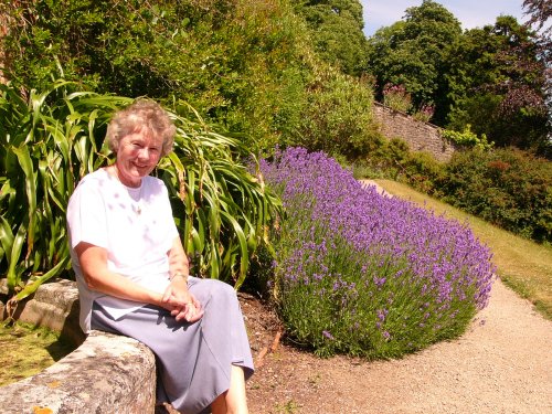 Clevedon Court Gardens, Somerset