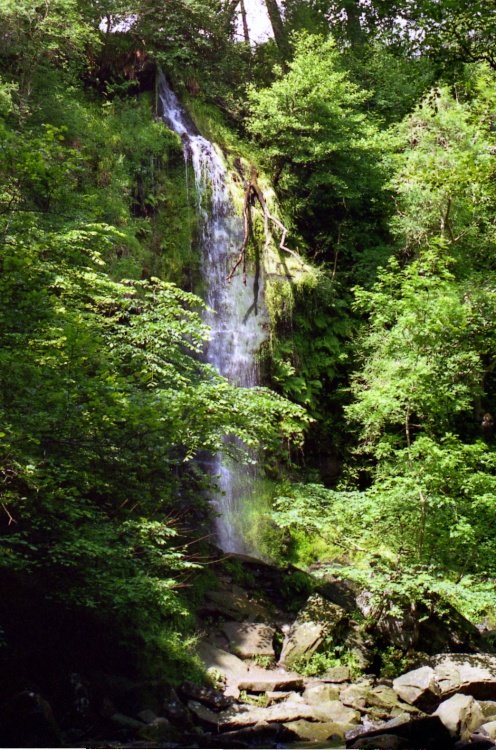 Mallyan Spout Waterfall in Goathland