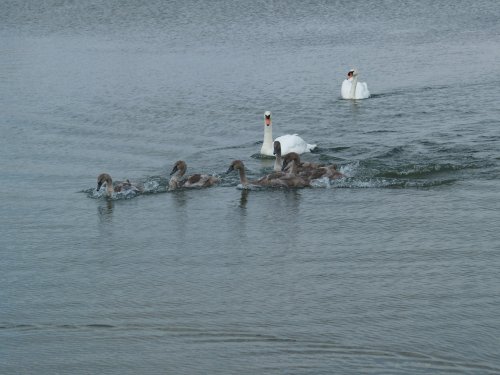 Waters Edge Country Park, Barton upon Humber, Lincolnshire