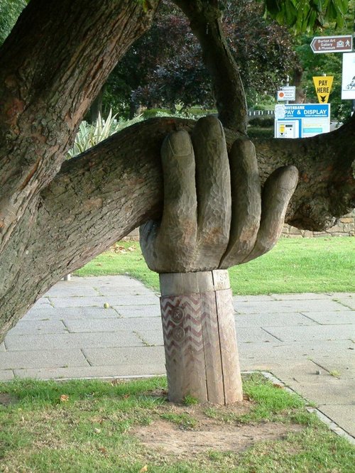 The Wonky Conker Tree with it's Helping Hand - Bideford, Devon