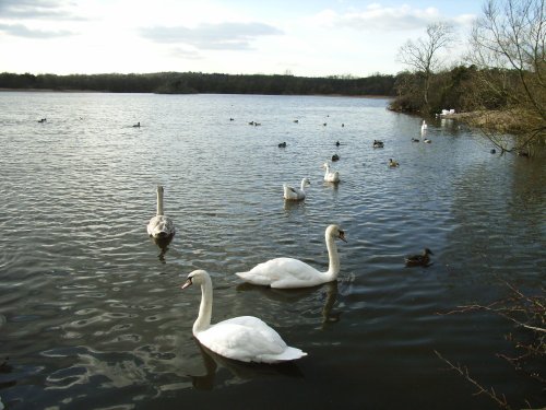 Groby Pool