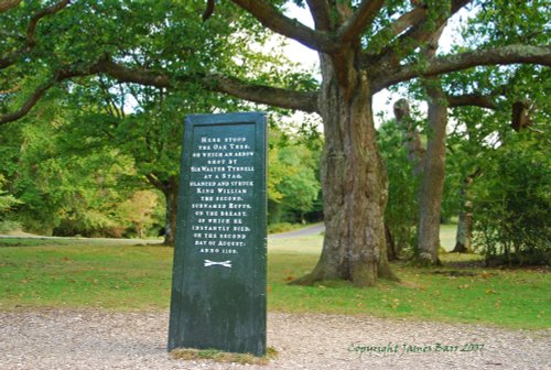 The Rufus Stone in the New Forest, Hampshire.