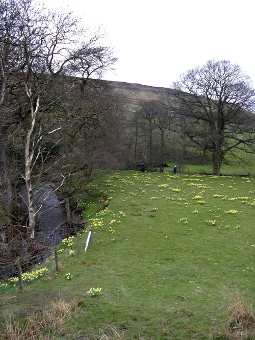 Farndale, Kirkbymoorside in North Yorkshire