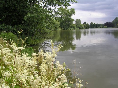 The lake at Hever Castle, Kent