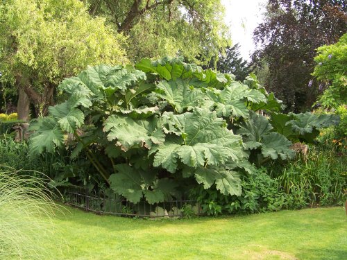 Barham Park, Wembley, Greater London