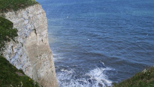 Bempton Cliffs, East Riding of Yorkshire