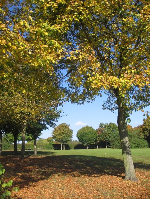 Autumn Leaves at Fairlands Valley Park, Stevenage, Hertfordshire