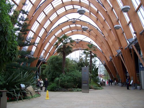 The Winter Garden, Sheffield, South Yorkshire