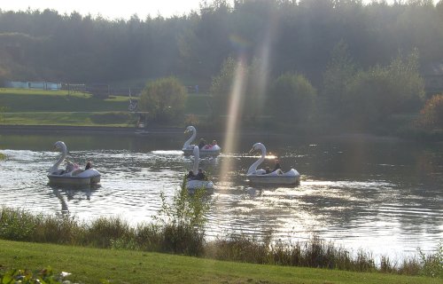 Swan Lake Pedal Boats, Lightwater Valley Park, Ripon, North Yorkshire