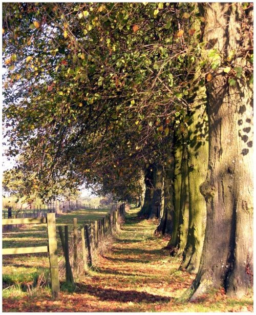 Rothamsted Park, Harpenden, Hertfordshire