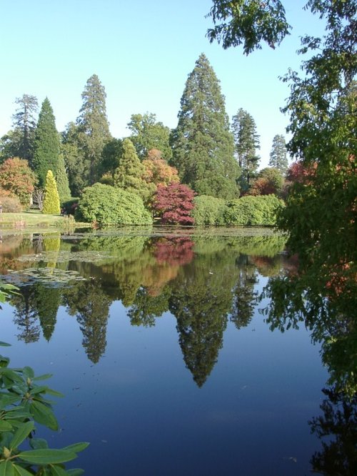 Reflections in the Lake at Sheffield Park, Uckfield, East Sussex