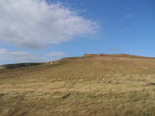 Trevarrian, Cornwall