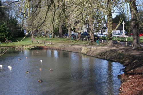 The Pond - Letchmore Heath, Hertfordshire