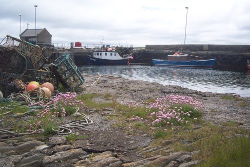 Shapinsay Harbour 2007