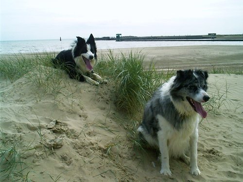 Camber Sands, East Sussex