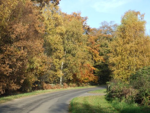 Autumn near Newtown Linford, Leicestershire