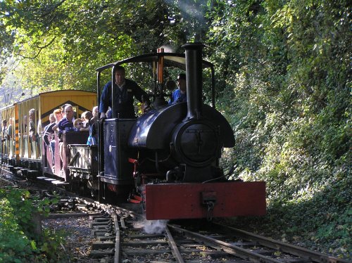A steam train with a saddle tank ferries visitors at Amberley Museum in Amberley, West Sussex