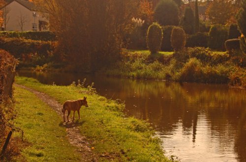 Cass at Polesworth, Warwickshire