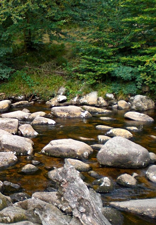 Dartmeet, Devon