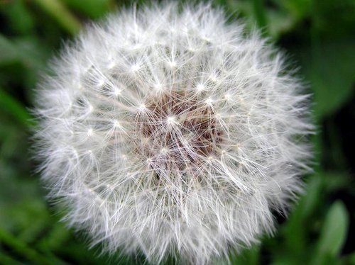 Fairy Clock, Tarrant Rushton, Dorset