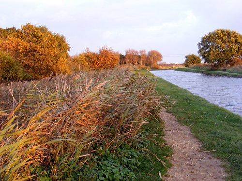 Horsey, Norfolk, late on an Autumn afternoon