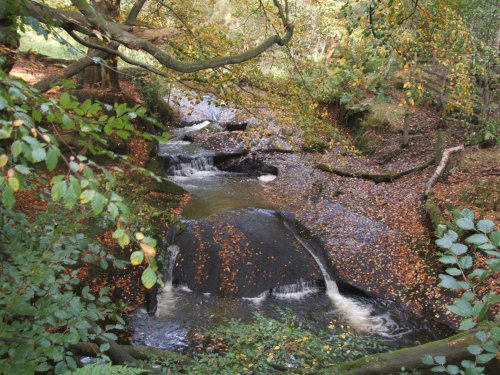 Babbling Brook, Mill Wood, Hurst Green, Lancashire