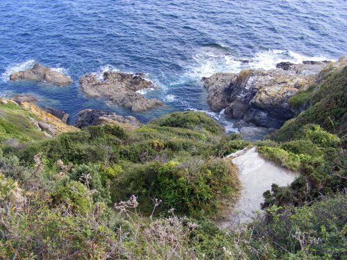 Coastal path near polperro
