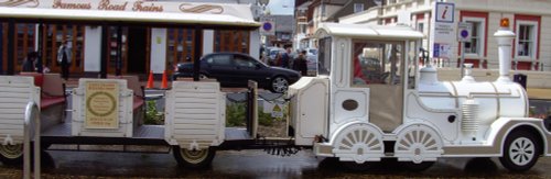 The Sightseeing Train