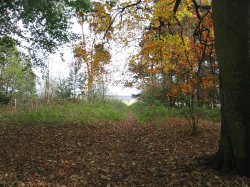 Autumn at Faringdon Folly