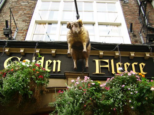 Golden Fleece