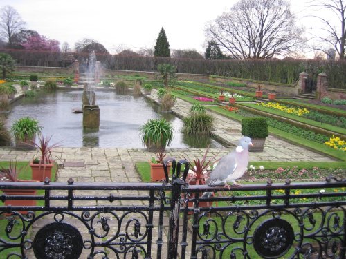 Kensington Gardens