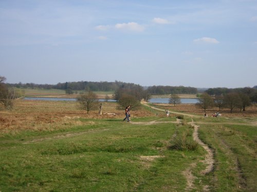 Richmond Park