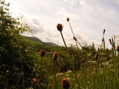 Mossley from Midghill, Greater Manchester