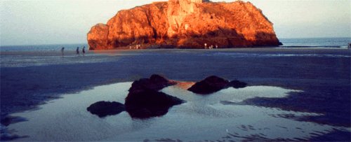 Cauldey Island sunset