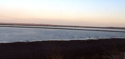 Nature Reserve-Hatfield Chase