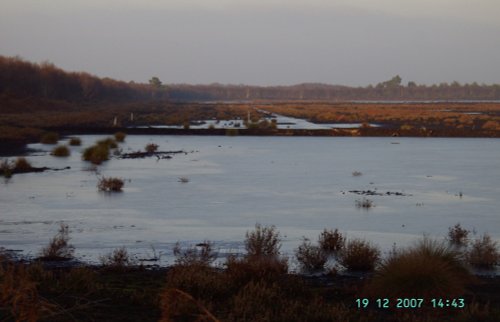 Nature Reserve-Hatfield Chase
