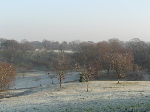 Winter in The Park