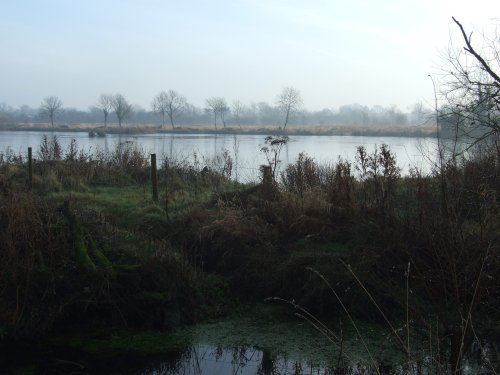 Cossington Meadows Nature Reserve, Leicestershire