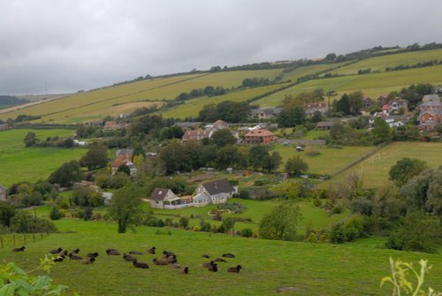 Countryside near Carisbrooke Castle IOW