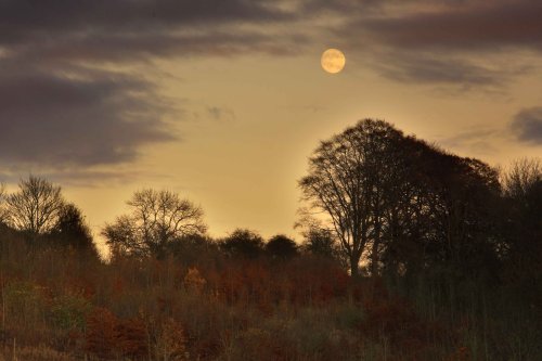 Night Scene, South Cave Area