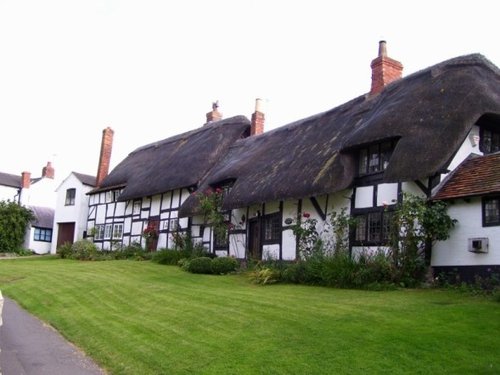More Thatched Cottages