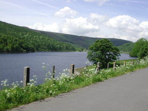 LadyBower