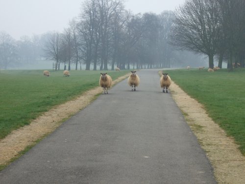 The Guardians of Burghley House!