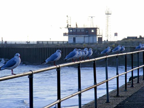 Harbour at Great Yarmouth, Norfolk