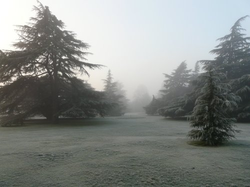 Winter in Greenwich Park, Greater London