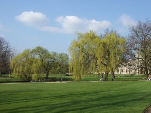 The Backs, Cambridge in Cambridgeshire