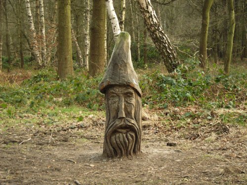 Carving at Beacon Hill, Woodhouse Eaves, Leicestershire