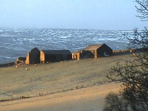 Looking towards Burnhope from Cowshill