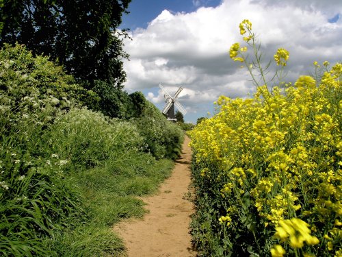 Skidby Mill In Spring